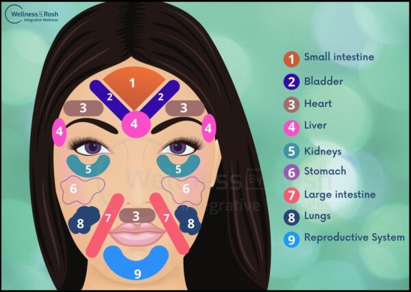 Face Mapping: Your Face is a Mirror of Your Health - Wellness By Rosh ...