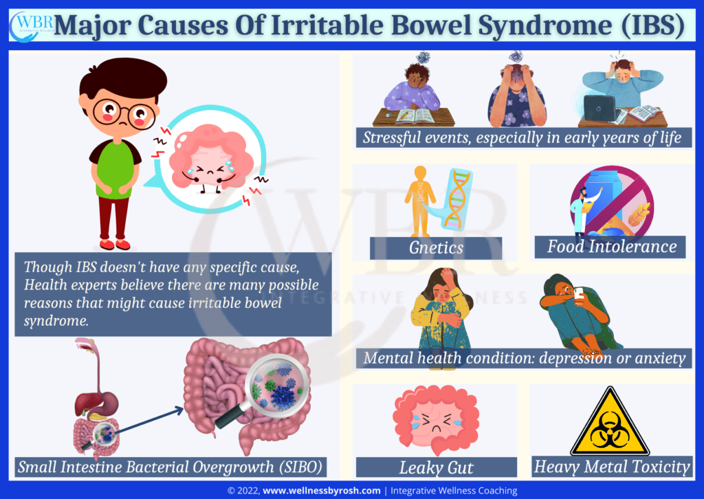 Causes Of Irritable Bowel Syndrome (IBS)